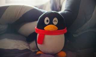 qq头像透明的怎么弄（QQ透明头像怎么弄）?(qq面板透明)