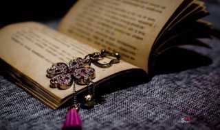 欣赏的反义词是啥?欣赏的反义词是什么(欣赏的反义词)