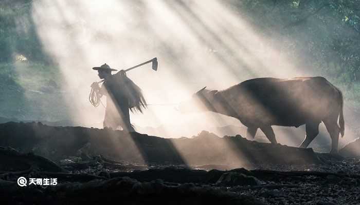 悯农其一的意思(悯农其一)