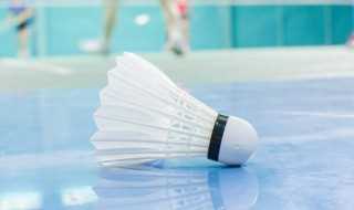 feather的解释?feather是什么意思(feather)