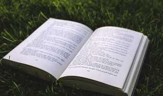 parrot解释?parrot什么意思中文(parrot)