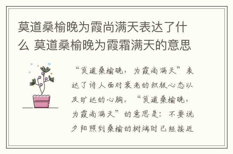 莫道桑榆晚为霞霜满天的意思?莫道桑榆晚为霞尚满天表达了什么(莫道桑榆晚 为霞尚满天)