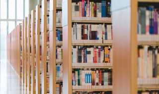 繁字怎么组词和拼音?繁字怎么组词?(繁的拼音和组词)