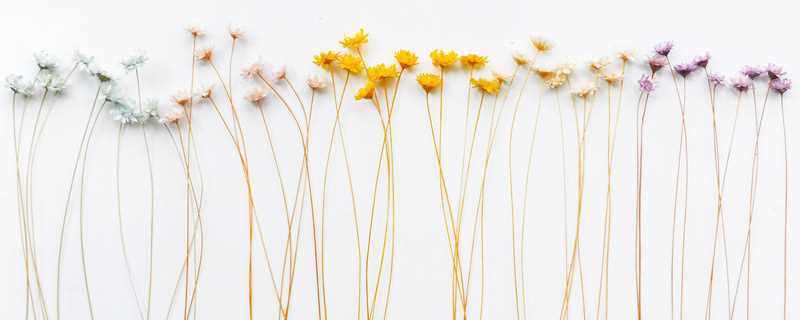 png格式是什么?png是什么格式(png是什么格式)