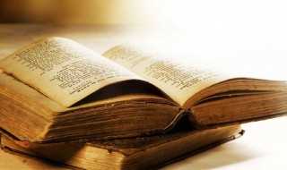 rush解释?rush是什么意思(rush)