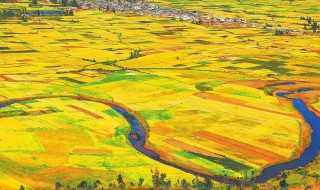 中华民族精神有哪些内涵?中华民族精神的内涵(民族精神的内涵)