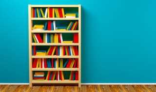 拗读音及解释_拗的意思(拗怎么读)