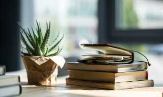 海棠依旧的意思?海棠依旧什么意思(海棠依旧)