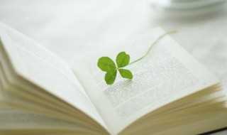 弗洛伊德五大需求层次理论是什么?弗洛伊德五大需求层次理论(需求层次理论)