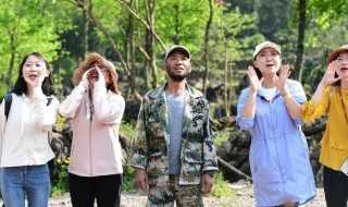 翘首的解释_翘首的意思(翘首的意思)