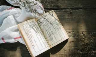 汲黯的读音?汲黯怎么读?(汲黯)