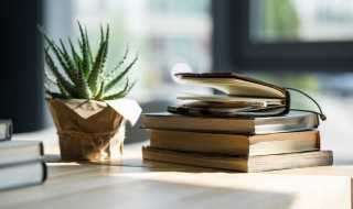 开拓的意思?开拓是什么意思(开拓)