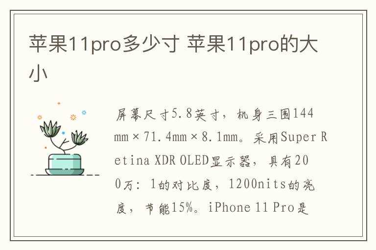苹果11pro的大小?苹果11pro多少寸(苹果11pro尺寸多大)