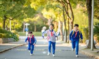 毙字怎么组词?毙组词(毙组词)