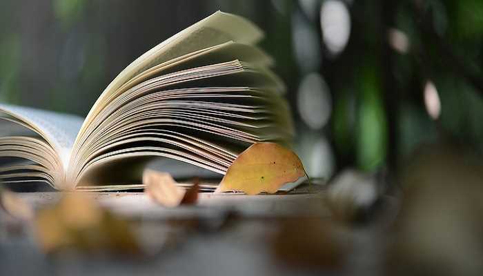 斯文败类?斯文败类是什么意思(斯文败类)