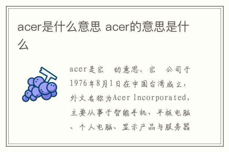 acer的意思是什么?acer是什么意思(acer)