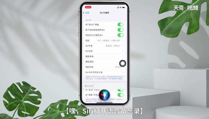 苹果手机录音在哪里面找?苹果手机录音功能在哪里找?(苹果手机录音功能在哪里)