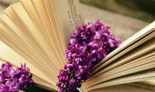 额手称庆与弹冠相庆的意思分别是什么?弹冠相庆和额手称庆的区别(额手称庆)