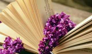 揠苗助长成语解释_揠苗助长成语故事(揠苗助长)