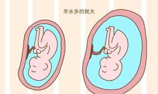 大家清楚吗?异卵双胞胎是什么意思(异卵双胞胎)