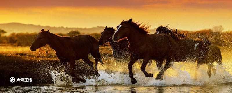 塞下曲的古诗意思解释_塞下曲古诗意思(塞下曲)