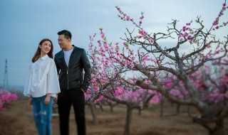 任君采撷意思是什么?任君采撷是什么意思(任君多采撷)