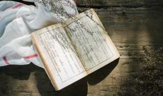 制服解释_制服的意思(制服)