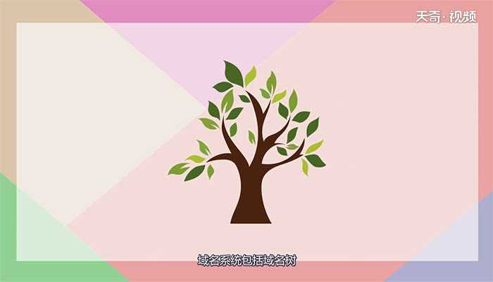 什么是DNS?DNS是什么(dns是什么)