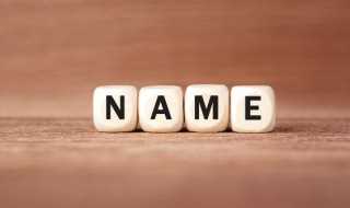 olivia的意思?olivia怎么读?(olivia)