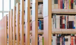 涩意思_是什么?涩是什么意思(涩)