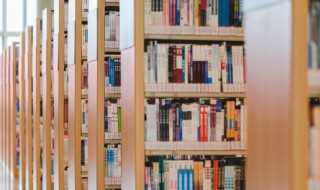 弹劾意思是什么?弹劾什么意思(弹劾)