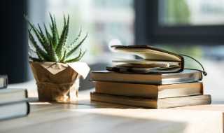 莫道桑榆晚的解释?莫道桑榆晚什么意思(莫道桑榆晚)