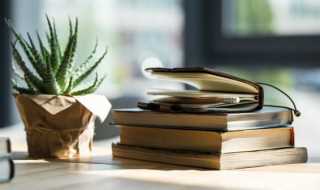 蹈字组词语有什么?蹈字组词语(蹈字组词)