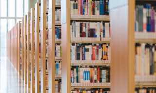 少东家意思是什么?少东家是什么意思(少东家)