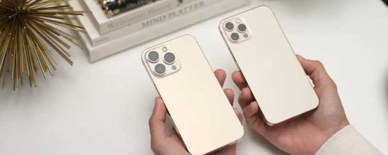 苹果爱锋派什么意思?爱锋派什么意思(爱锋派)