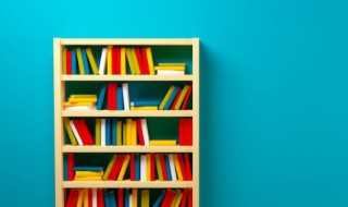 匡衡的简介?匡衡怎么读?(匡衡)