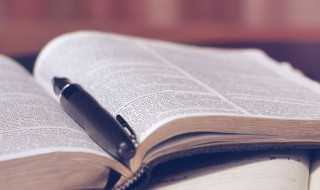 少壮不努力老大徒伤悲解释?少壮不努力老大徒伤悲是什么意思(少壮不努力 老大徒伤悲)