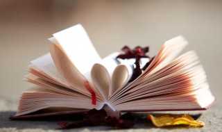 暴有哪些词语?暴的组词(暴的组词)