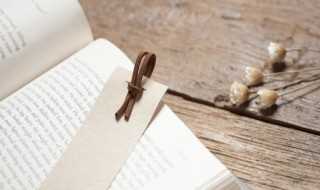 vocabulary是什么意思中文?vocabulary是什么意思(vocabulary)