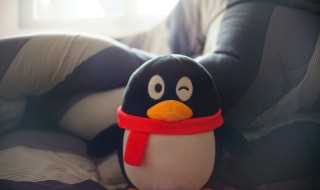 qq身份证的查看方法?qq身份证在哪里看?(QQ身份证在哪看)