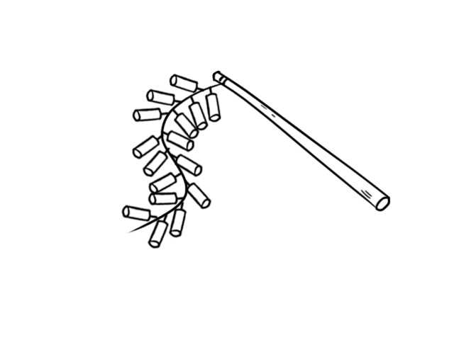 鞭炮怎么画?(怎样画鞭炮)