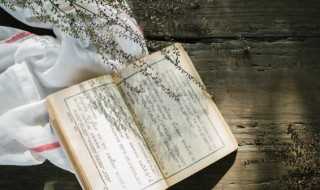 骓字的读音?骓字怎么读?(骓)