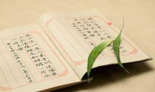 氏的意思?氏怎么读?(氏)