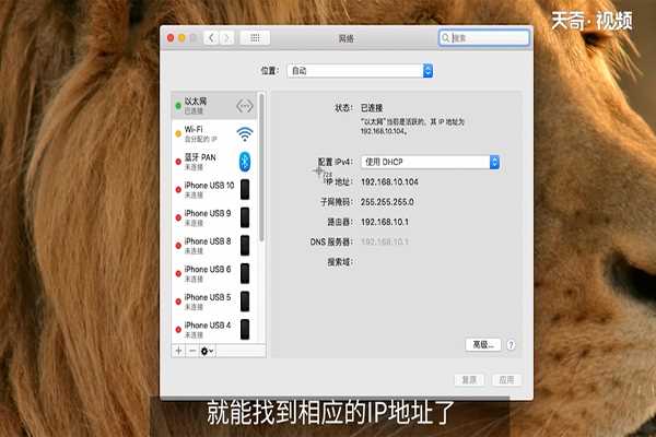 mac怎么查询ip地址?(通过mac地址查ip)