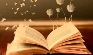 出其不意解释?出其不意什么意思(出其不意)