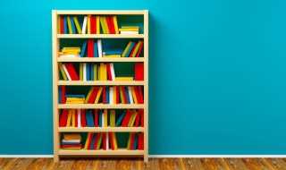 海獭怎么读?海獭读音(海獭)