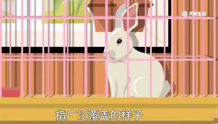 笼罩的意思造句_笼罩的意思(笼罩的意思)