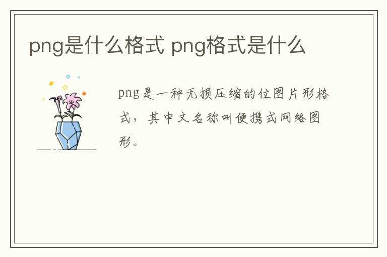 png格式是什么?png是什么格式(png是什么格式)