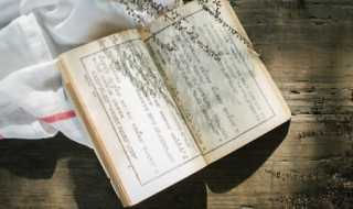 展望的意思是什么?展望什么意思(展望)