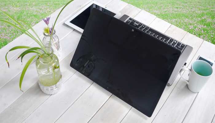 acer的意思是什么?acer是什么意思(acer)